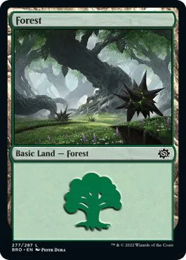 Forest - Foil