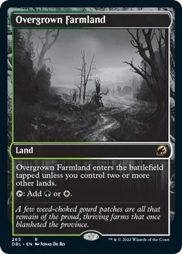 Overgrown Farmland - Foil