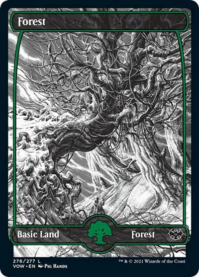 Forest - Foil