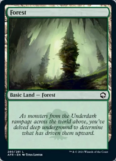 Forest - Foil