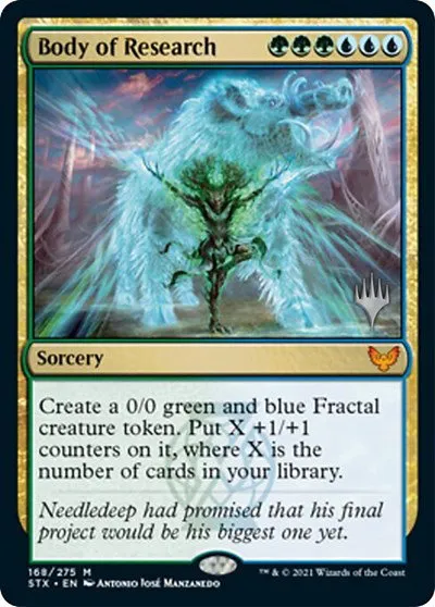 Body of Research - Foil