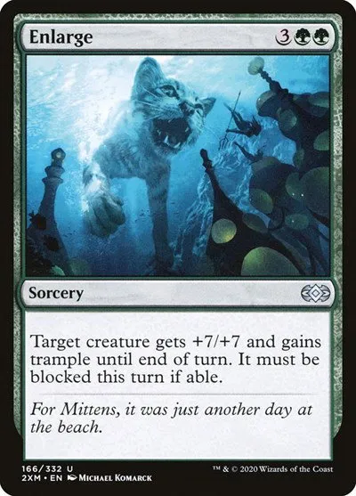 Enlarge - Foil