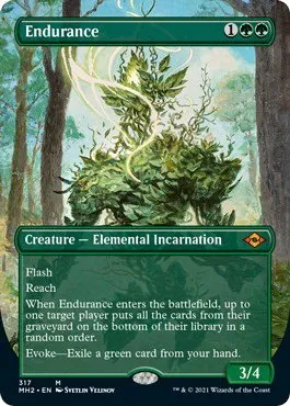 Endurance - Foil