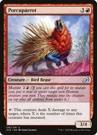 Porcuparrot - Foil