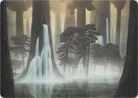 Waterlogged Grove