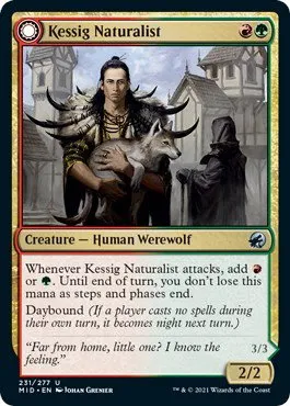Kessig Naturalist - Foil