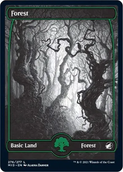 Forest