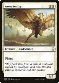 Aven Sentry - Foil
