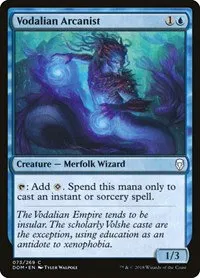 Vodalian Arcanist - Foil