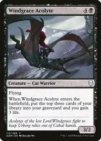 Windgrace Acolyte - Foil