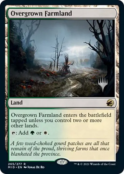 Overgrown Farmland - Foil