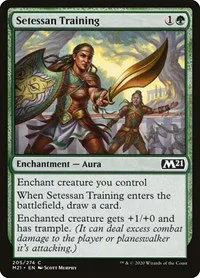 Setessan Training - Foil