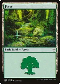 Forest - Foil
