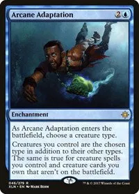 Arcane Adaptation - Foil