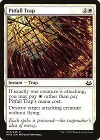 Pitfall Trap - Normal Pitfall Trap
