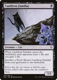 Cauldron Familiar - Foil