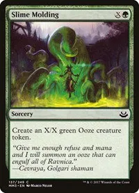 Slime Molding
