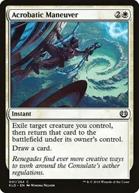 Acrobatic Maneuver - Foil