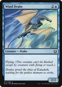 Wind Drake - 17 264