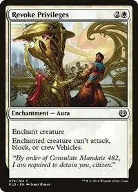 Revoke Privileges - Foil