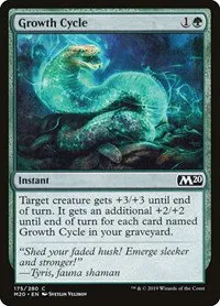 Growth Cycle - Foil