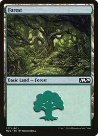 Forest - Foil