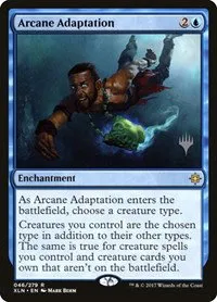 Arcane Adaptation - Normal Arcane Adaptation