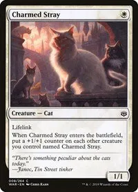 Charmed Stray - Normal Charmed Stray