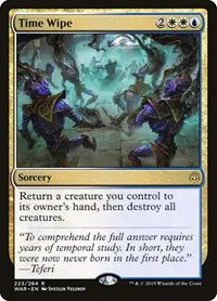 Time Wipe - Foil