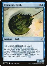 Horseshoe Crab - Foil