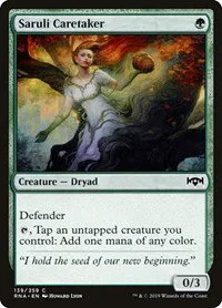 Saruli Caretaker - Foil