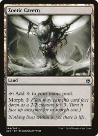 Zoetic Cavern - Foil