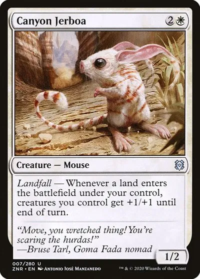 Canyon Jerboa - Normal Canyon Jerboa