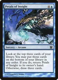 Petals of Insight - Foil