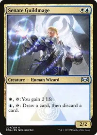 Senate Guildmage - Foil