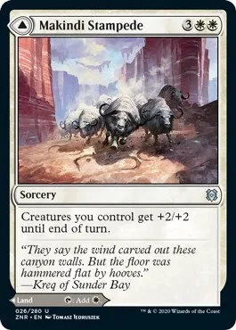 Makindi Stampede