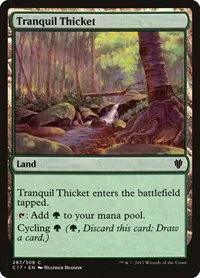 Tranquil Thicket