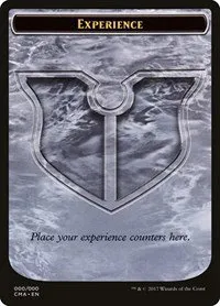 Experience Token