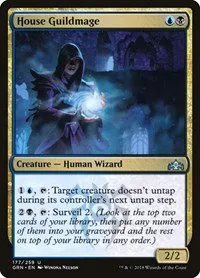 House Guildmage - Foil