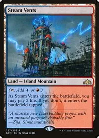 Steam Vents - Foil