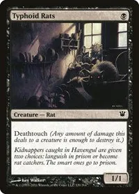 Typhoid Rats - Foil
