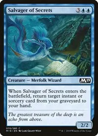 Salvager of Secrets - Foil