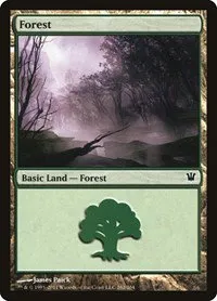 Forest - Foil