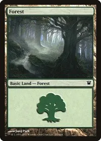 Forest - Foil