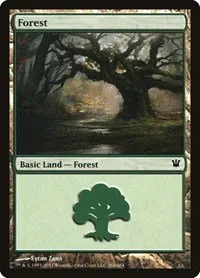 Forest - Foil