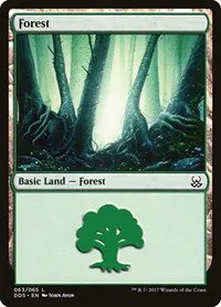 Forest