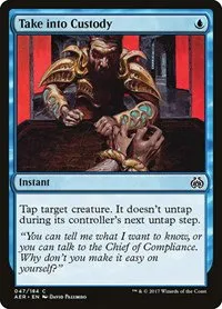 Take into Custody - Foil