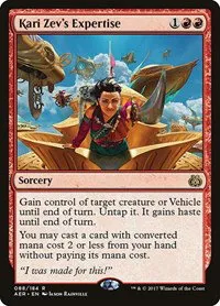 Kari Zev's Expertise - Foil