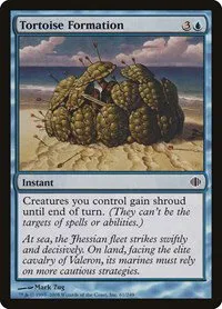 Tortoise Formation - Foil
