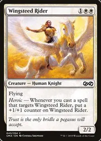 Wingsteed Rider - Foil